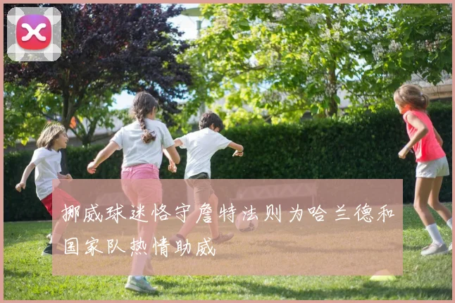 挪威球迷恪守詹特法则为哈兰德和国家队热情助威