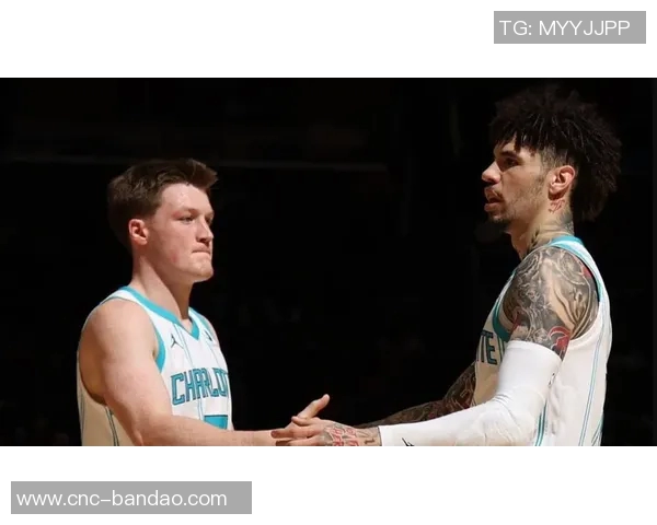 克尼佩尔已成为黄蜂队的新标志性球员引发广泛关注