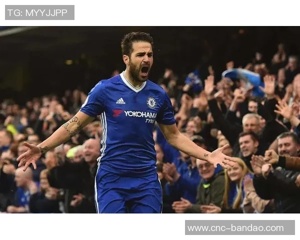 法布雷加斯回忆切尔西岁月称其为职业生涯最佳选择之一