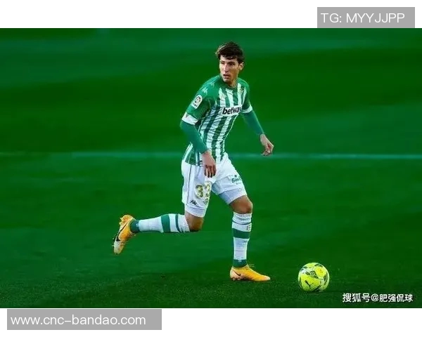 国米冬窗计划引援以填补邓弗里斯因手术缺阵至明年三月的空缺